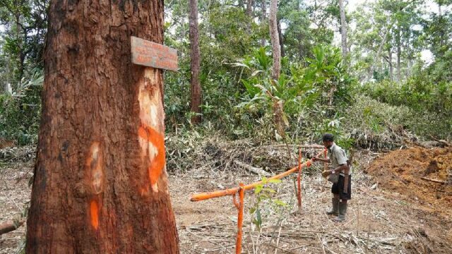 Coalición: el TNI no debería interferir en los conflictos por tierras consuetudinarias en Papúa


