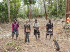 El TNI niega intimidación contra terratenientes tradicionales del clan Kwipalo El TNI niega intimidación contra terratenientes tradicionales del clan Kwipalo