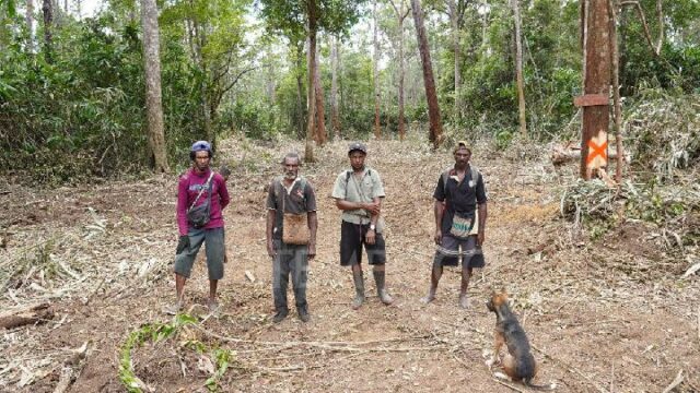 El TNI niega intimidación contra terratenientes tradicionales del clan Kwipalo

