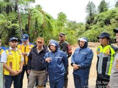 UP acelera la restauración de mezquitas en Sumatra antes del Ramadán
| UP acelera la restauración de mezquitas en Sumatra antes del Ramadán
|
