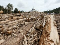 Las empresas cuyas licencias serán revocadas tienen el potencial de aumentar Las empresas cuyas licencias serán revocadas tienen el potencial de aumentar