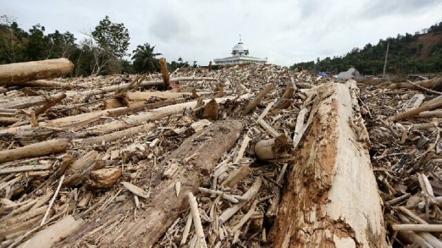 Las empresas cuyas licencias serán revocadas tienen el potencial de Las empresas cuyas licencias serán revocadas tienen el potencial de aumentar