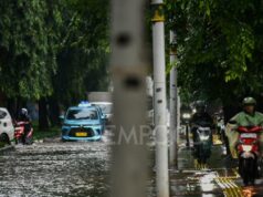 Las inundaciones siguen inundando 17 RT y carreteras en Yakarta
| Las inundaciones siguen inundando 17 RT y carreteras en Yakarta
|