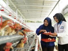 Seguridad alimentaria comunitaria, estrategia del PNM para fortalecer la nutrición comunitaria Seguridad alimentaria comunitaria, estrategia del PNM para fortalecer la nutrición comunitaria