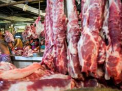 Los comerciantes de carne de cerdo de Medan protestan para rechazar la SE del alcalde
| Los comerciantes de carne de cerdo de Medan protestan para rechazar la SE del alcalde
|