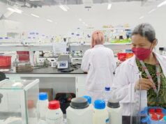 Ministerio de Sanidad recoge 17.000 genomas humanos en febrero de 2026
| Ministerio de Sanidad recoge 17.000 genomas humanos en febrero de 2026
|