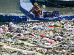 El incendio de un almacén de pesticidas sospechoso de contaminar el río Cisadane
| El incendio de un almacén de pesticidas sospechoso de contaminar el río Cisadane
|