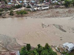 1.500 hectáreas de arrozales en Pidie Jaya siguen cubiertas de barro
| 1.500 hectáreas de arrozales en Pidie Jaya siguen cubiertas de barro
|