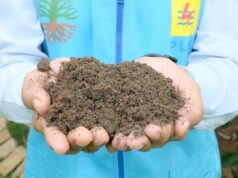 Aumenta el uso de cenizas de carbón PLN, una nueva fuente económica
| Aumenta el uso de cenizas de carbón PLN, una nueva fuente económica
|