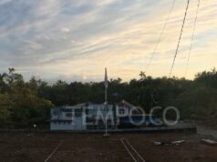 Los trabajadores sanitarios fronterizos de Papúa sobreviven dentro de unos límites
| Los trabajadores sanitarios fronterizos de Papúa sobreviven dentro de unos límites
|