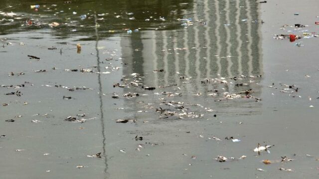 La contaminación por Cisadane es generalizada, KLH lleva a cabo una inspección

 | 