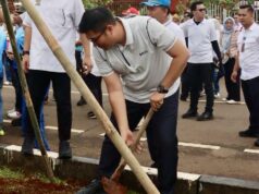 La Comisión I del DPRD Bogor Regency apoya el movimiento para plantar 1.000 árboles en la zona del estadio Pakansari
| La Comisión I del DPRD Bogor Regency apoya el movimiento para plantar 1.000 árboles en la zona del estadio Pakansari
|