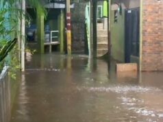 Las inundaciones aún sumergen 127 RT y 6 carreteras en Yakarta
| Las inundaciones aún sumergen 127 RT y 6 carreteras en Yakarta
|