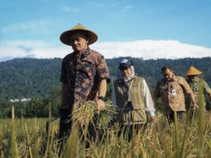 Se espera que la producción de arroz de Java Central para enero-marzo de 2026 alcance los 3,35 millones de toneladas GKG
| Se espera que la producción de arroz de Java Central para enero-marzo de 2026 alcance los 3,35 millones de toneladas GKG
|