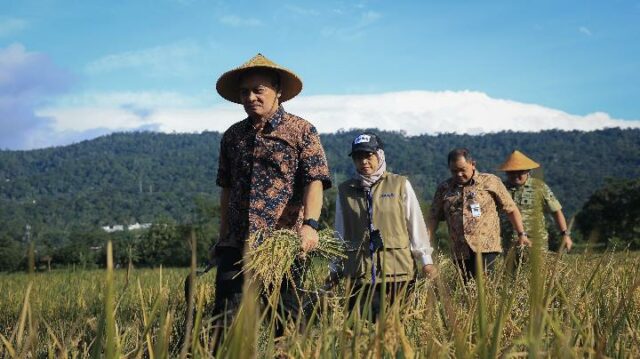 Se espera que la producción de arroz de Java Central para enero-marzo de 2026 alcance los 3,35 millones de toneladas GKG

 | 