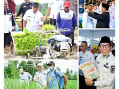 Hito de progreso de Lampung para la Indonesia dorada
| Hito de progreso de Lampung para la Indonesia dorada
|