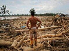 Decreto del Ministro de Bosques determina el uso de madera de inundación para acelerar la recuperación de Sumatra
| Decreto del Ministro de Bosques determina el uso de madera de inundación para acelerar la recuperación de Sumatra
|