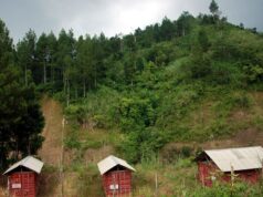 Los fondos para las aldeas de bricolaje están cayendo, dicen los miembros del DPRD
| Los fondos para las aldeas de bricolaje están cayendo, dicen los miembros del DPRD
|