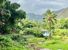 Cosas sorprendentes de visitar la isla más amigable de Hawái, Molokai
| Travel,freelancer-le,hawaii,travel,molokai-trip,evergreen-story Cosas sorprendentes de visitar la isla más amigable de Hawái, Molokai
| Travel,freelancer-le,hawaii,travel,molokai-trip,evergreen-story