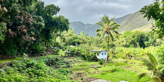 Cosas sorprendentes de visitar la isla más amigable de Hawái, Molokai

 | Travel,freelancer-le,hawaii,travel,molokai-trip,evergreen-story