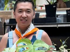 Dejé de enseñar matemáticas para vender plantas por valor de 16.000 dólares
| Careers,as-told-to,health,health-freelancer Dejé de enseñar matemáticas para vender plantas por valor de 16.000 dólares
| Careers,as-told-to,health,health-freelancer