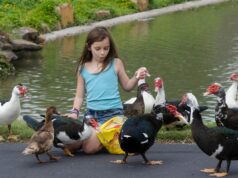 Su familia se mudó a un suburbio de Texas hace 17 años; Me alegro de haberlo hecho
| Real Estate,freelancer-le,moving,suburbs,evergreen-story,texas,san-antonio,houston Su familia se mudó a un suburbio de Texas hace 17 años; Me alegro de haberlo hecho
| Real Estate,freelancer-le,moving,suburbs,evergreen-story,texas,san-antonio,houston