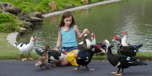 Su familia se mudó a un suburbio de Texas hace 17 años; Me alegro de haberlo hecho

 | Real Estate,freelancer-le,moving,suburbs,evergreen-story,texas,san-antonio,houston