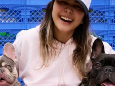 Por qué me mudé a un barrio más caro para mis perros
| Real Estate,Travel,essay,health,health-freelancer,miami,dog,coral-gables Por qué me mudé a un barrio más caro para mis perros
| Real Estate,Travel,essay,health,health-freelancer,miami,dog,coral-gables