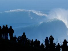 La ‘segunda ola’ de IA está redefiniendo las startups con nuevos productos
| AI,Tech,Startups,startups,artificial-intelligence,generative-ai,ll-ms,large-language-models,limited-synd,apps,entrepreneurship,gaming,technology La 'segunda ola' de IA está redefiniendo las startups con nuevos productos
| AI,Tech,Startups,startups,artificial-intelligence,generative-ai,ll-ms,large-language-models,limited-synd,apps,entrepreneurship,gaming,technology