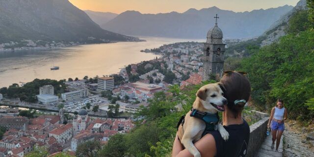 Dejé los Estados Unidos y viví por todo el mundo. El choque cultural inverso es difícil.

 | Real Estate,digital-nomad,as-told-to,expat,abroad,italy,peace-corps