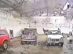 Piloto de drones ucraniano descubre un arsenal ruso lleno de caballos y carruajes
| Military & Defense,ukraine-war,drone-warfare,russian-military Piloto de drones ucraniano descubre un arsenal ruso lleno de caballos y carruajes
| Military & Defense,ukraine-war,drone-warfare,russian-military