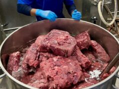 Cómo las cocinas de la prisión de Rikers Island preparan 7 millones de comidas al año
| Food,Politics,video,rikers,rikers-island,jail,prison,new-york-city,new-this-week-video,new-this-week,food,zohran-mamdani,big-business Cómo las cocinas de la prisión de Rikers Island preparan 7 millones de comidas al año
| Food,Politics,video,rikers,rikers-island,jail,prison,new-york-city,new-this-week-video,new-this-week,food,zohran-mamdani,big-business