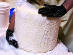 Cómo se elabora el auténtico queso Pecorino Romano en Lacio, Italia
| Food,video,video-format-regional-eats,cheese,italy,how-its-made Cómo se elabora el auténtico queso Pecorino Romano en Lacio, Italia
| Food,video,video-format-regional-eats,cheese,italy,how-its-made