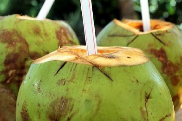 Explicación del SPPG del menú MBG de coco tierno entero en Kalimantan Oriental

 | 