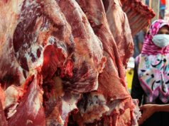 Prabowo paga 72 mil millones de IDR por el ganado Meugang en Aceh
| Prabowo paga 72 mil millones de IDR por el ganado Meugang en Aceh
|