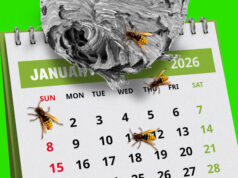 El mercado laboral fue malo el año pasado. ¿Se sorprenderán también los inversores por un pobre informe sobre empleo en enero?
| El mercado laboral fue malo el año pasado. ¿Se sorprenderán también los inversores por un pobre informe sobre empleo en enero?
|