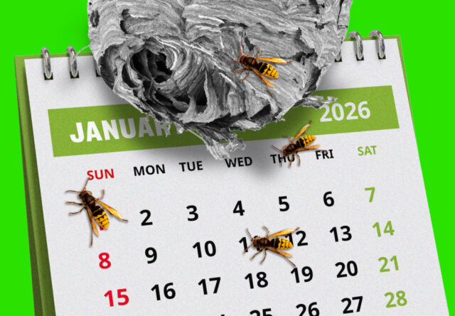 El mercado laboral fue malo el año pasado. ¿Se sorprenderán también los inversores por un pobre informe sobre empleo en enero?

 | 