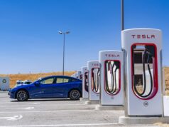 Las acciones de Tesla se recuperan para recuperar algunas de sus pérdidas esta semana
| Las acciones de Tesla se recuperan para recuperar algunas de sus pérdidas esta semana
|