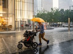 Éste es el único grupo en Nueva York que tiene una tasa de hijos lo suficientemente alta como para mantener a la población.
| Éste es el único grupo en Nueva York que tiene una tasa de hijos lo suficientemente alta como para mantener a la población.
|