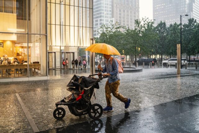 Éste es el único grupo en Nueva York que tiene Éste es el único grupo en Nueva York que tiene una tasa de hijos lo suficientemente alta como para mantener a la población.
|