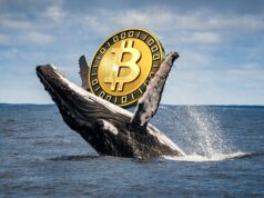 Bitcoin cae brevemente por debajo de los $75,000, pero estos inversores ven una oportunidad de compra
| Bitcoin cae brevemente por debajo de los $75,000, pero estos inversores ven una oportunidad de compra
|