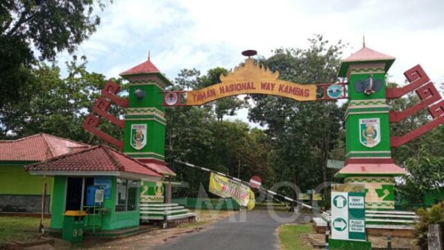 Prabowo prepara un fondo de asistencia presidencial para cerrar Way Kambas

 | 