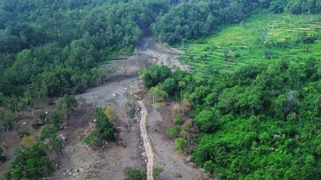 Se han rehabilitado 991 hectáreas de arrozales dañados en Sumatra

 | 