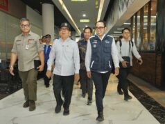 El gobierno asegura que los pavos reales están listos para afrontar su regreso
| El gobierno asegura que los pavos reales están listos para afrontar su regreso
|