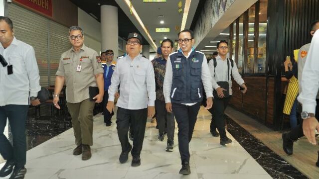 El gobierno asegura que los pavos reales están listos para afrontar su regreso

 | 