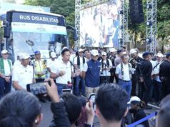 12.500 recién llegados disfrutan de un regreso a casa ecológico
| 12.500 recién llegados disfrutan de un regreso a casa ecológico
|