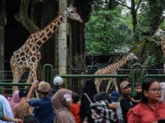 Policía Nacional insta a funcionarios de turismo a priorizar la seguridad de los visitantes
| Policía Nacional insta a funcionarios de turismo a priorizar la seguridad de los visitantes
|