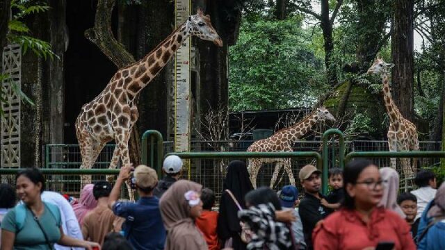 Policía Nacional insta a funcionarios de turismo a priorizar la seguridad de los visitantes

 | 