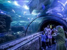 Ancol predice 580 mil visitantes durante las vacaciones del Eid 2026
| Ancol predice 580 mil visitantes durante las vacaciones del Eid 2026
|