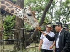 Al Convertirse En Una Atracción Turística Favorita, El DPRD De DKI Solicita Que Los Precios De Las Entradas Al Parque De Vida Silvestre De Ragunan No Aumenten
| Al Convertirse En Una Atracción Turística Favorita, El DPRD De DKI Solicita Que Los Precios De Las Entradas Al Parque De Vida Silvestre De Ragunan No Aumenten
|